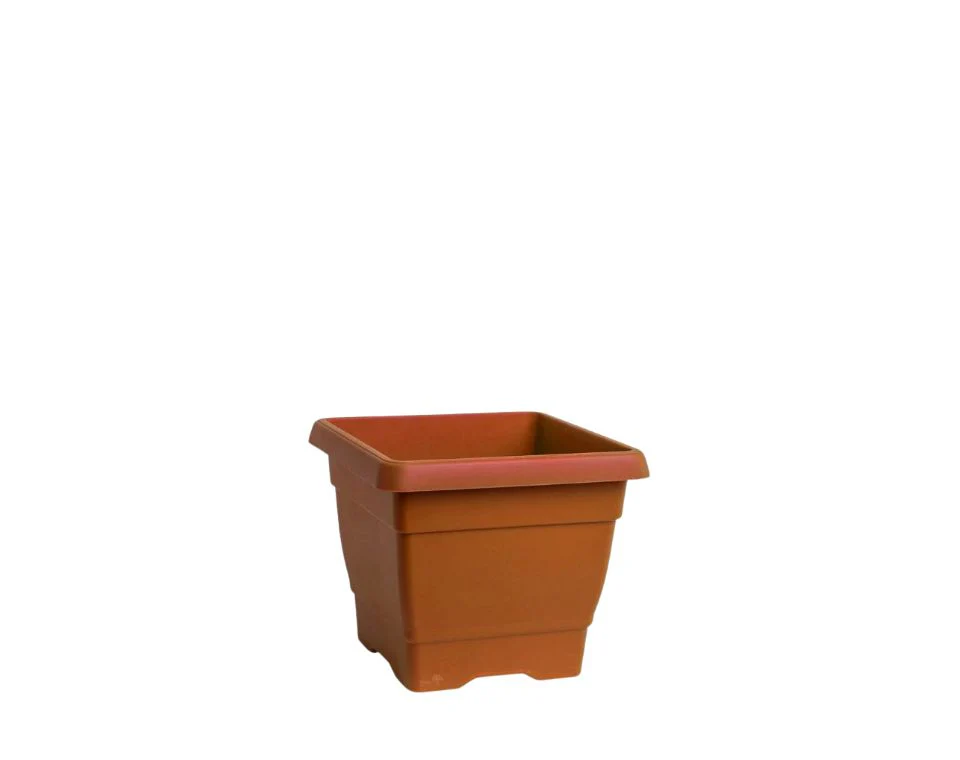 תמונת מוצר 1