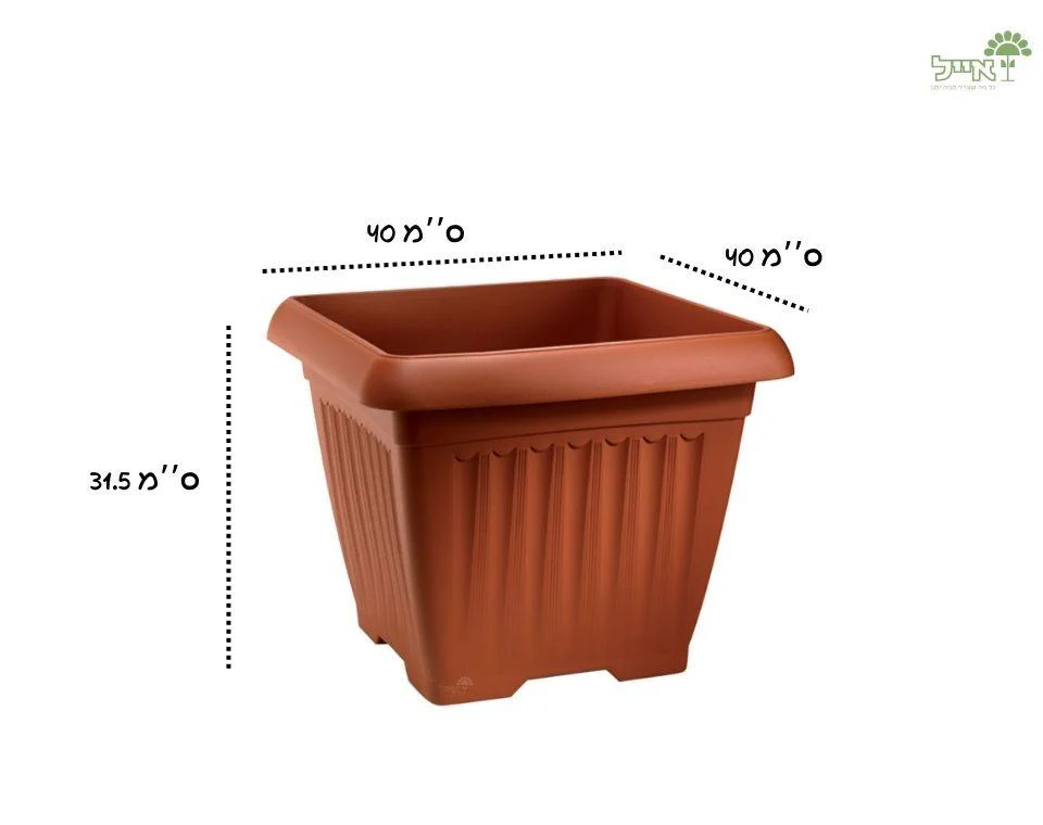 תמונת מוצר 2