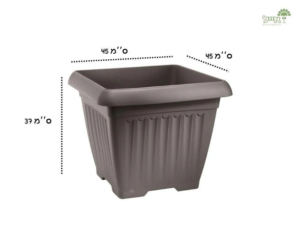 תמונת מוצר 2