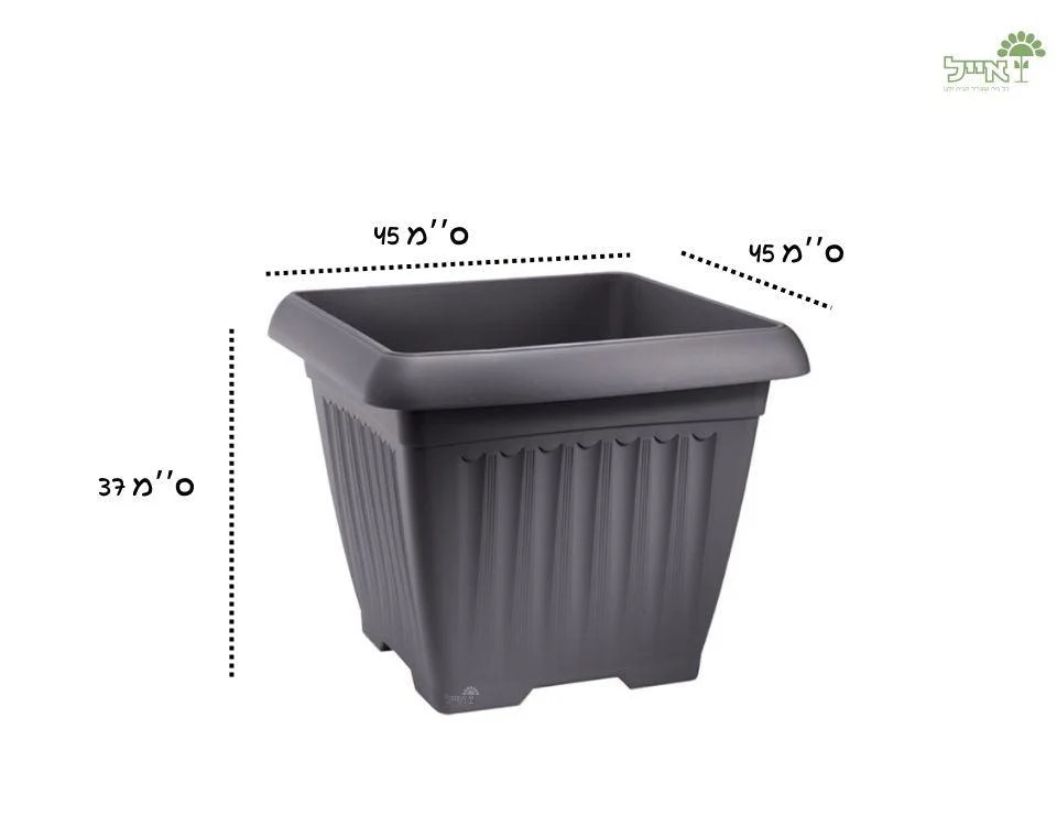 תמונת מוצר 2
