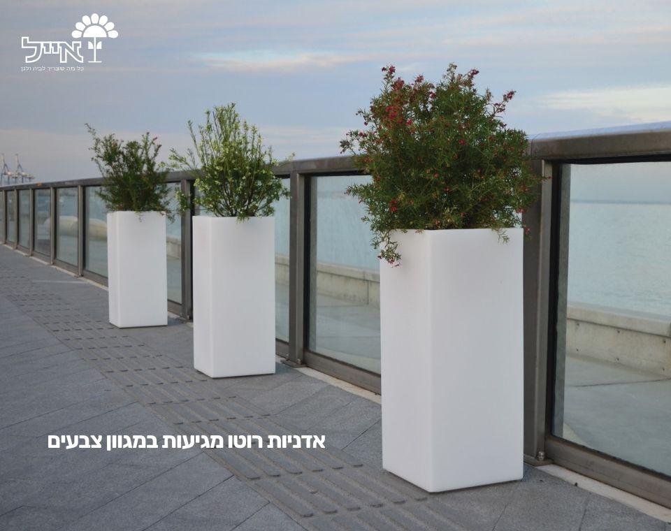 תמונת מוצר 3