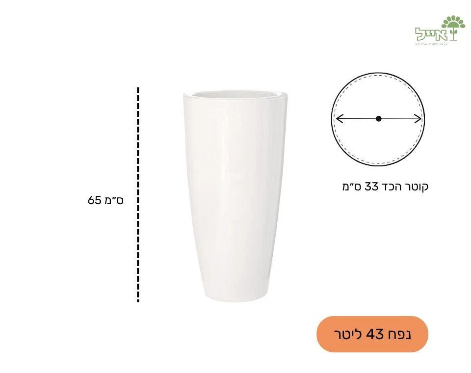 תמונת מוצר 3