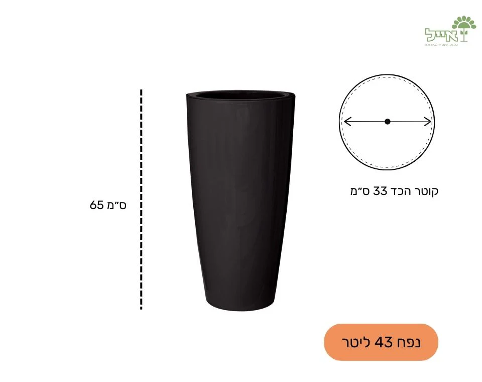 תמונת מוצר 3