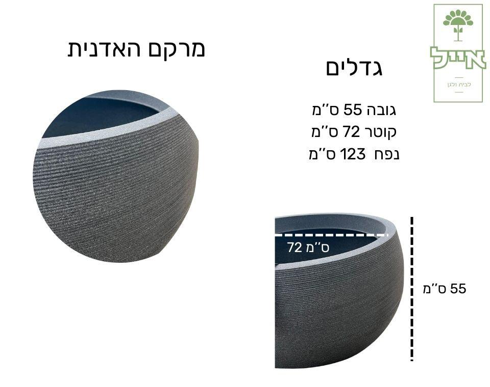 תמונת מוצר 2