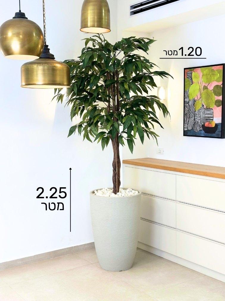 תמונת מוצר 2