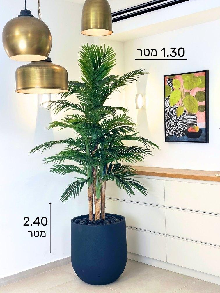 תמונה ממוזערת 2