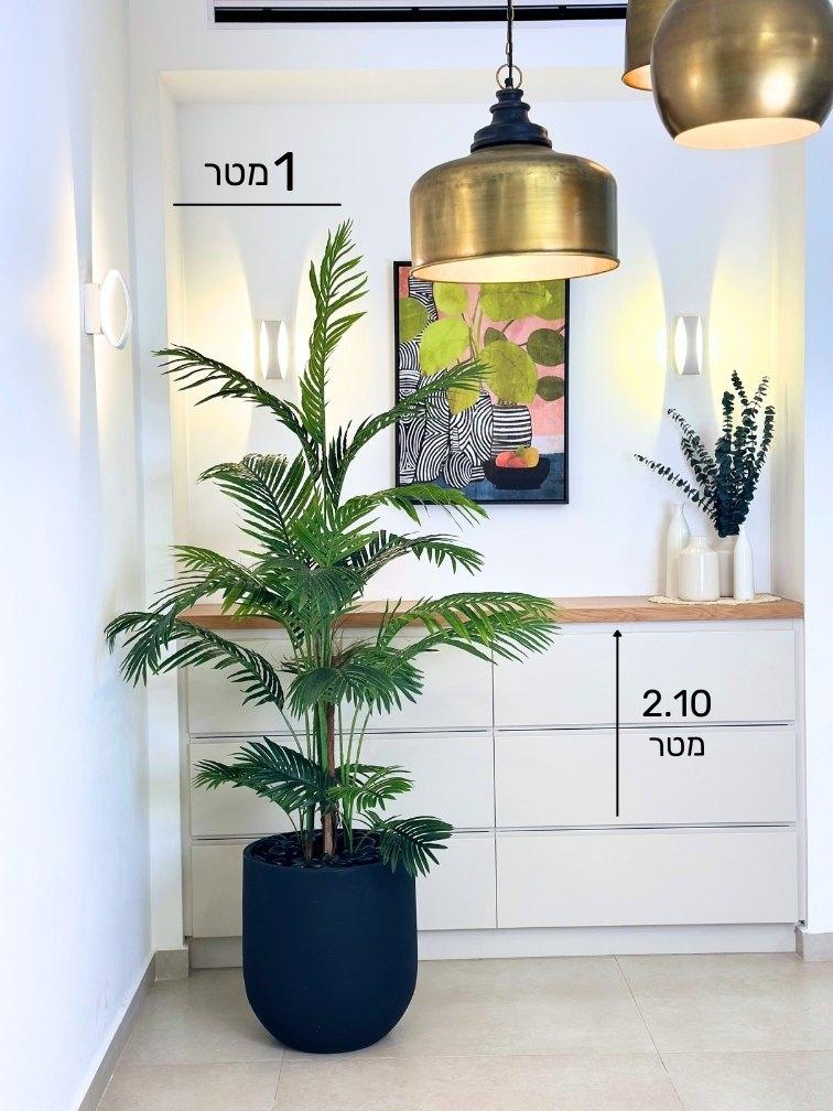 תמונת מוצר 2
