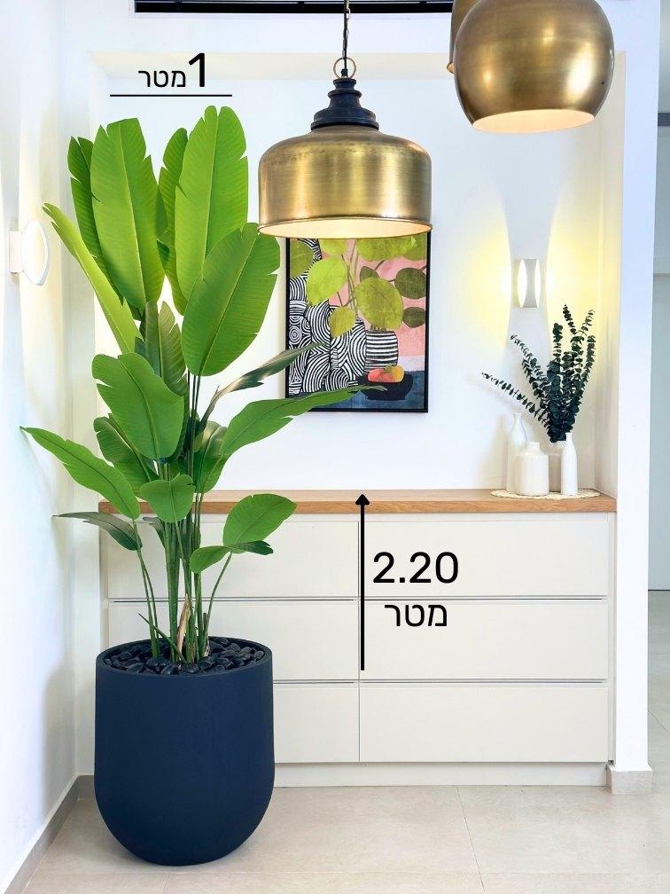 תמונת מוצר 2