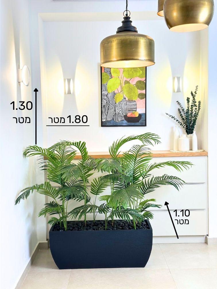 תמונת מוצר 3