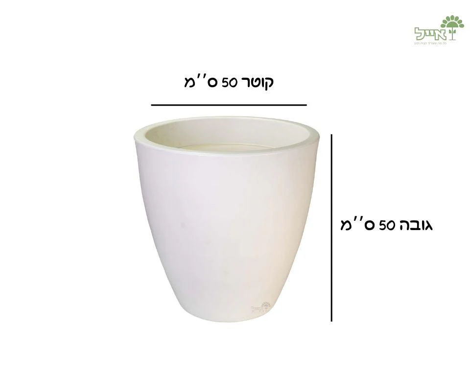תמונת מוצר 2