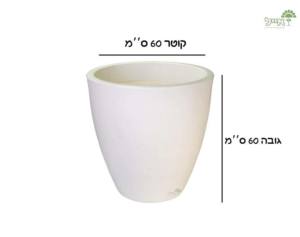 תמונת מוצר 2
