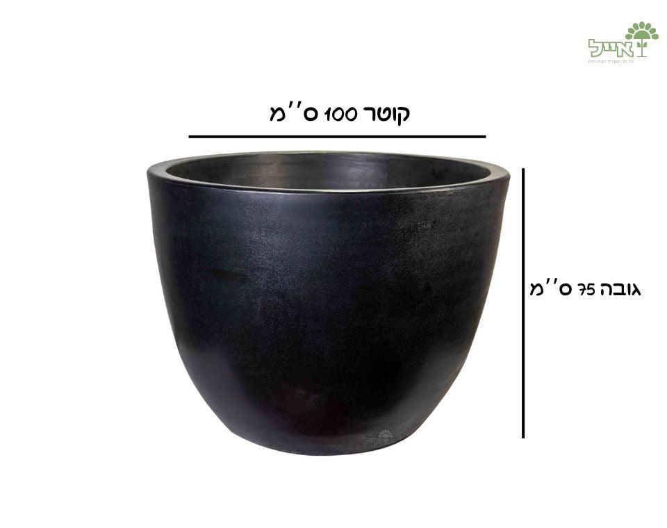 תמונת מוצר 2