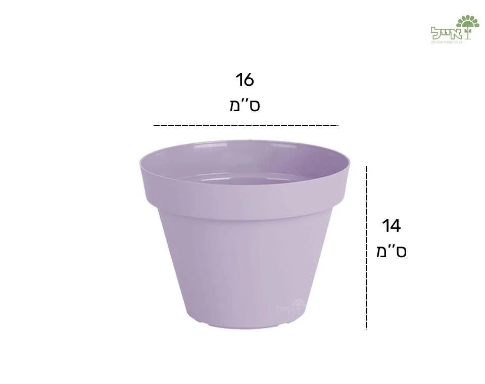 תמונת מוצר 2