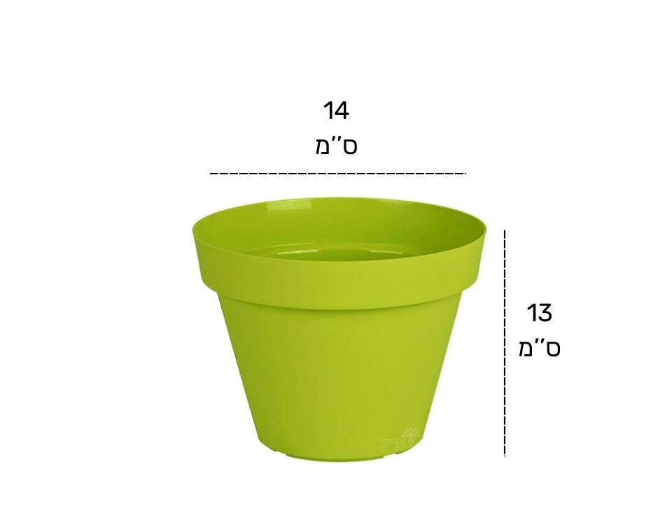 תמונת מוצר 2