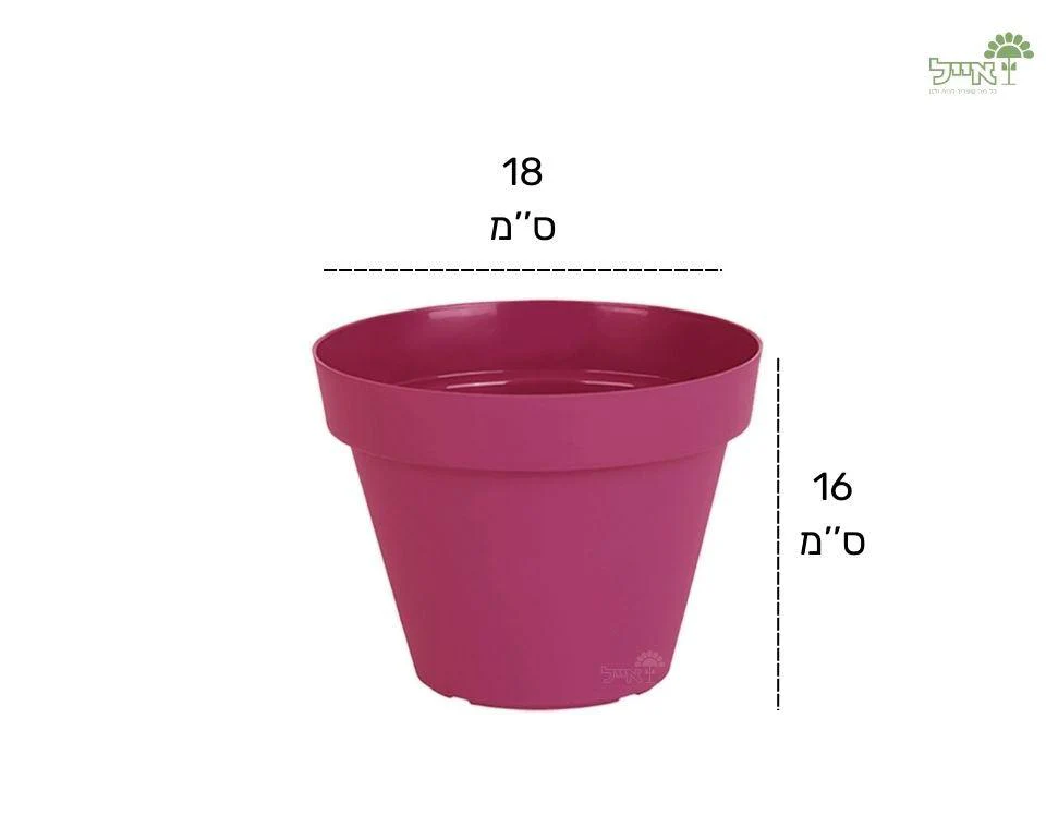 תמונת מוצר 2