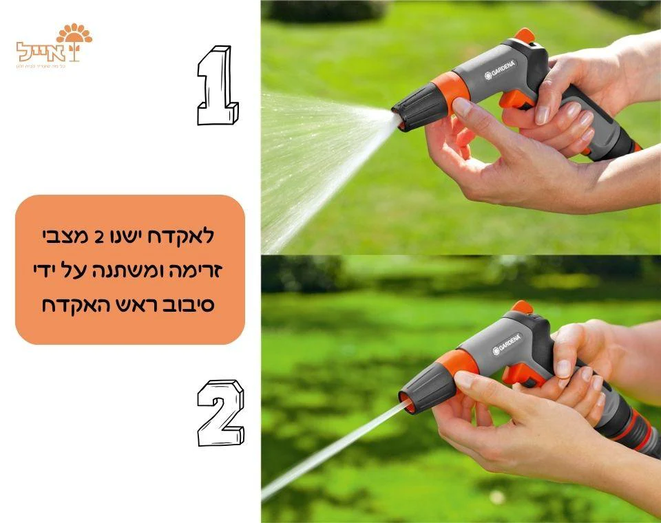 תמונת מוצר 3