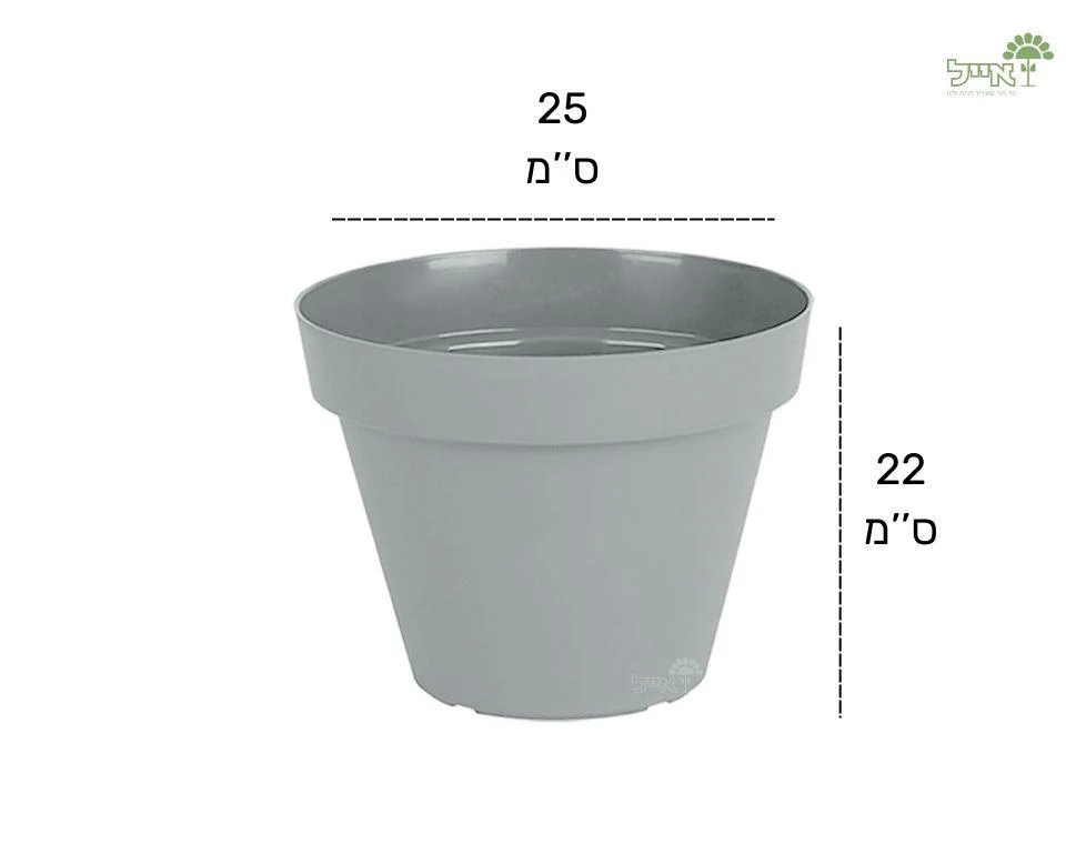 תמונת מוצר 2