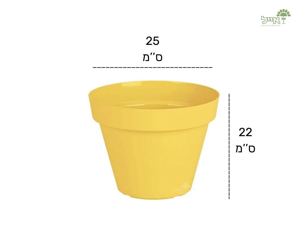 תמונת מוצר 2