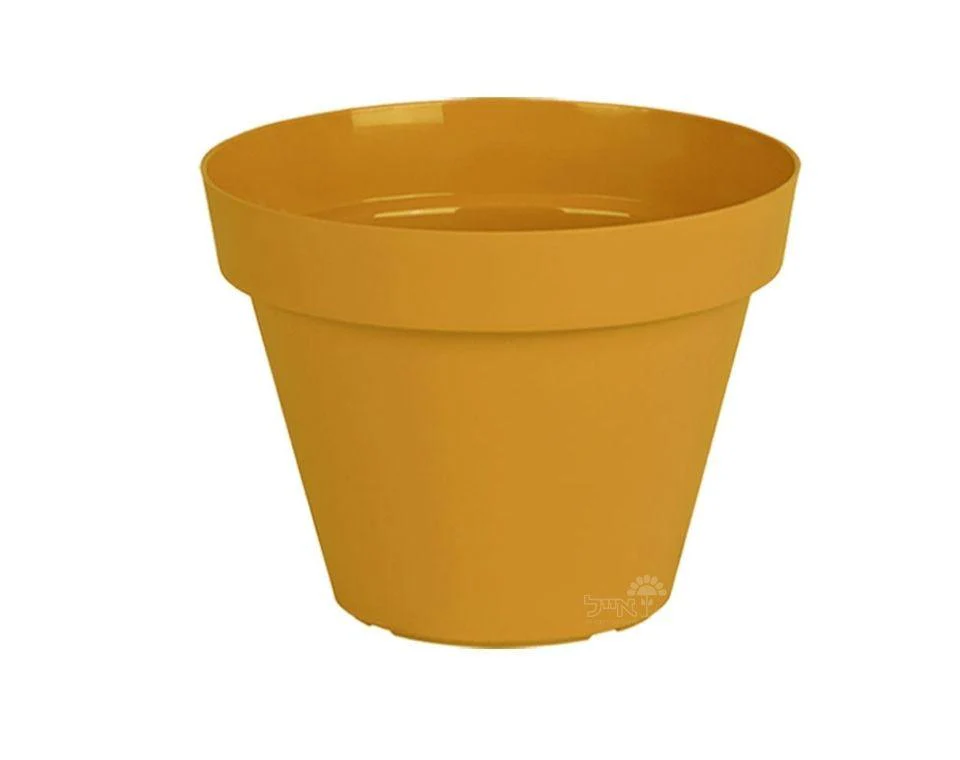 תמונת מוצר 2