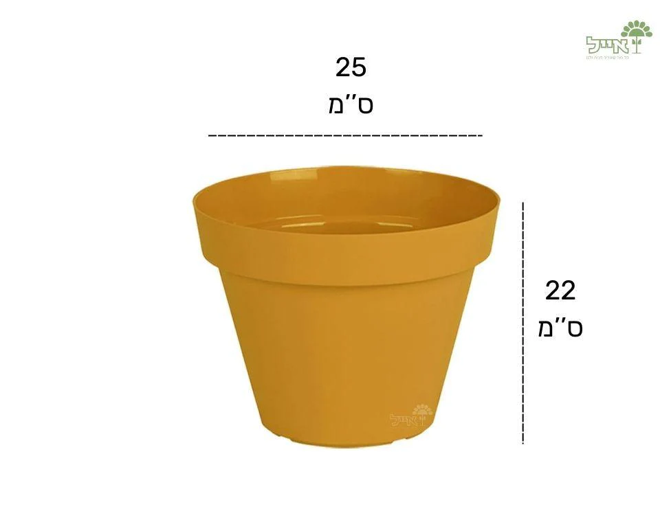 תמונת מוצר 4
