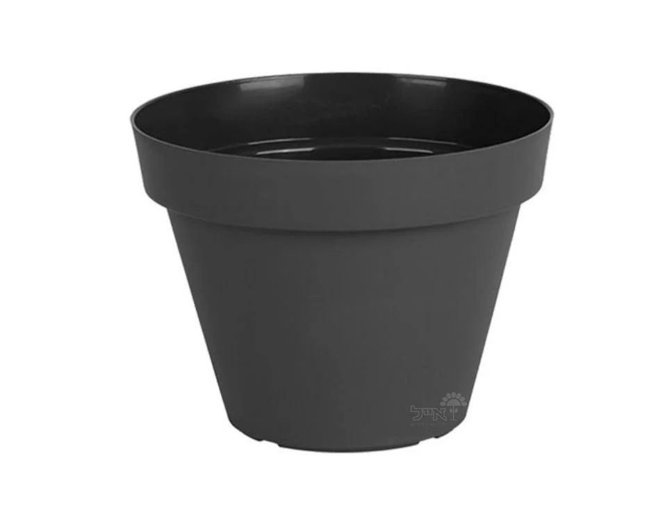 תמונת מוצר 1