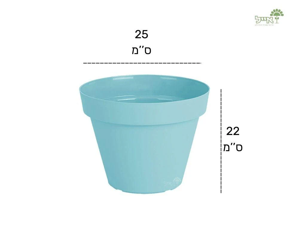 תמונת מוצר 2