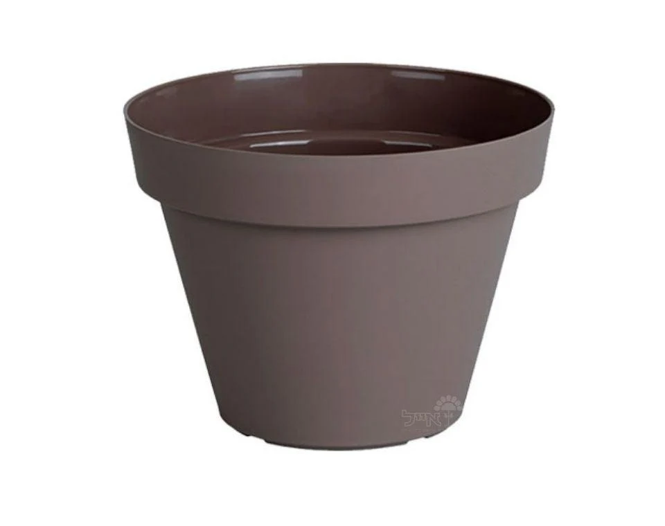 תמונת מוצר 1
