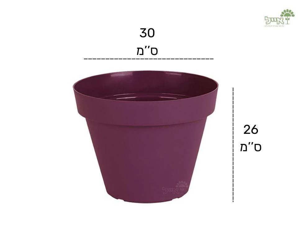 תמונת מוצר 2
