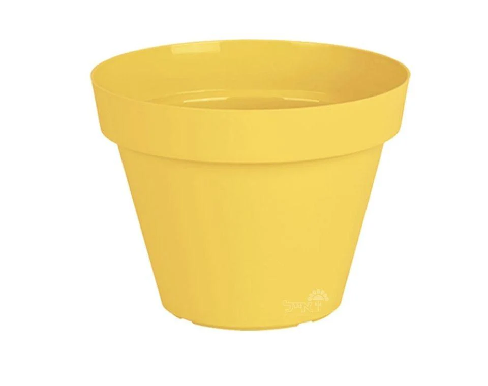 תמונת מוצר 1