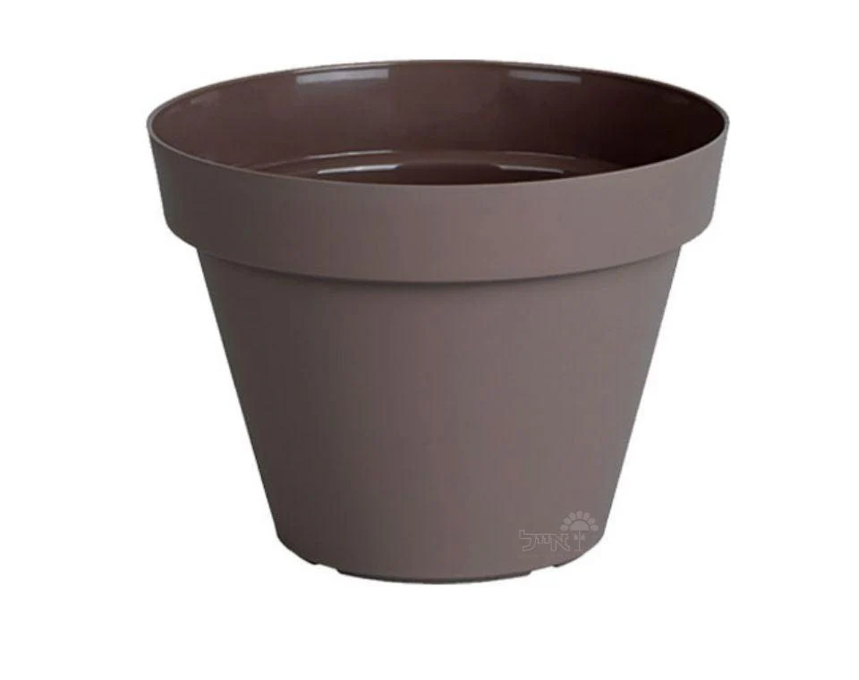תמונת מוצר 1
