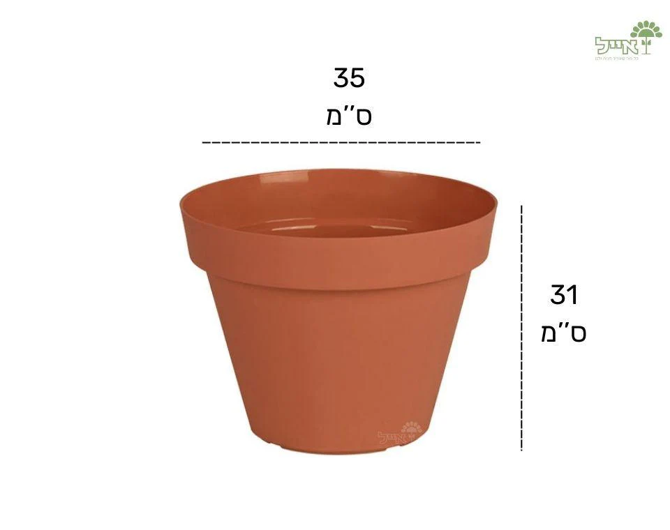 תמונת מוצר 3