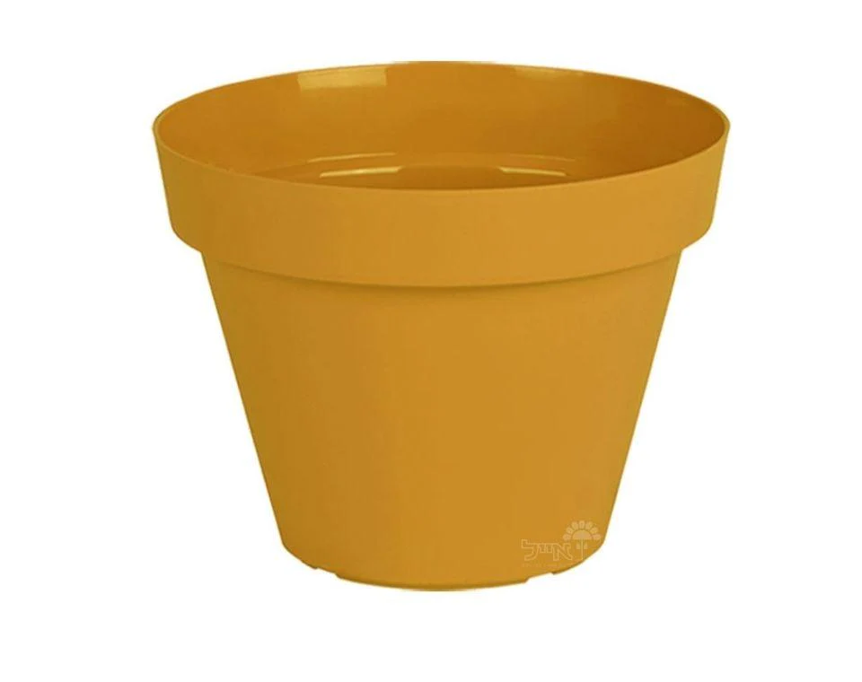 תמונת מוצר 1
