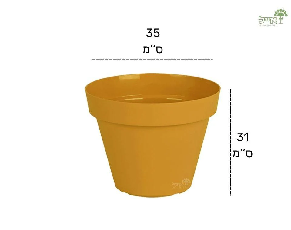 תמונת מוצר 2
