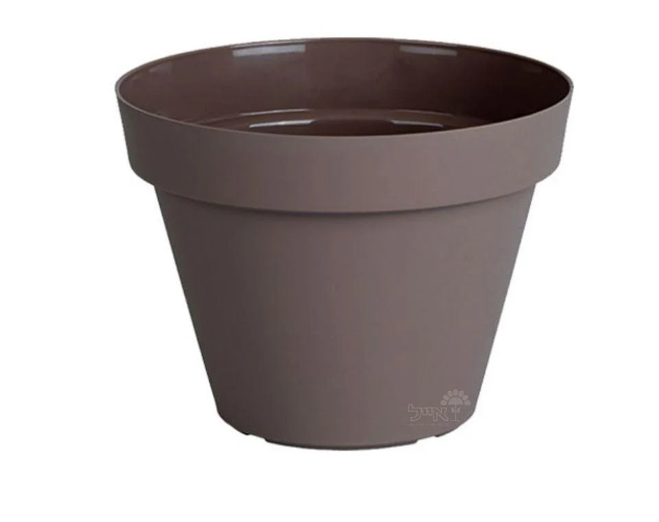 תמונת מוצר 1