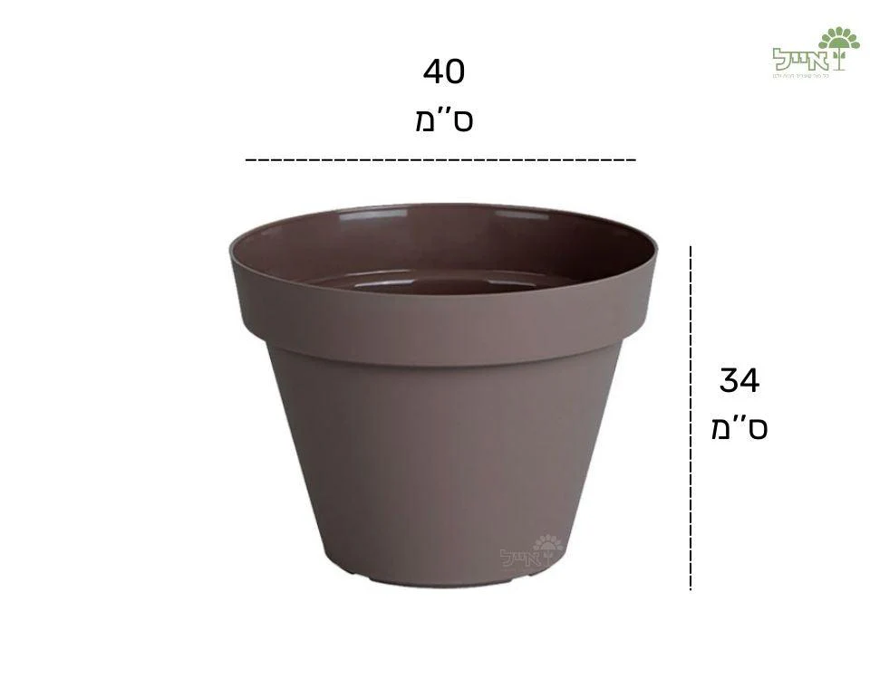 תמונת מוצר 2