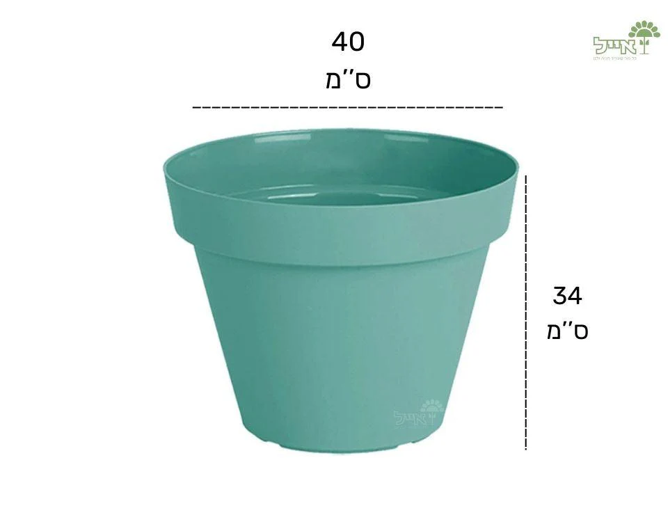 תמונת מוצר 2