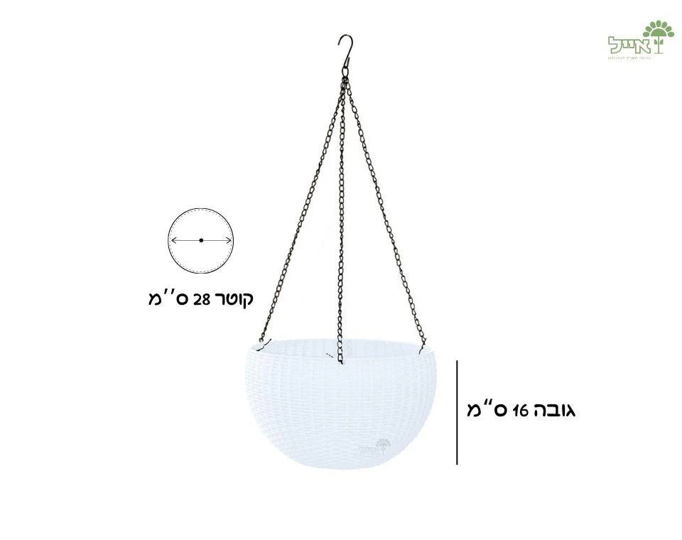תמונת מוצר 2
