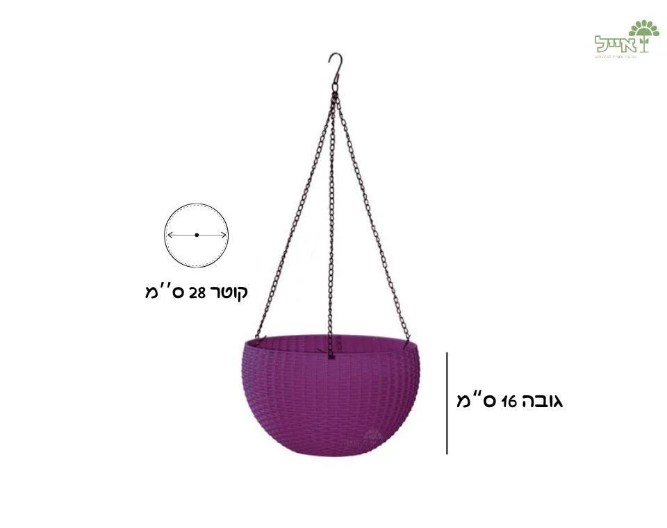 תמונה ממוזערת 2