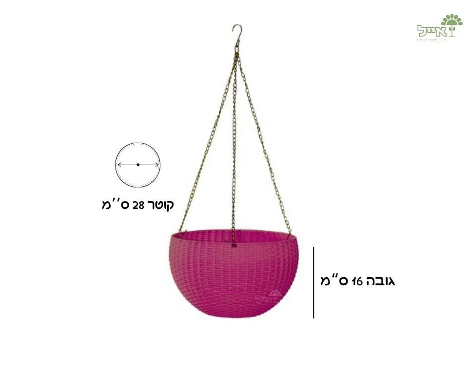 תמונה ממוזערת 2