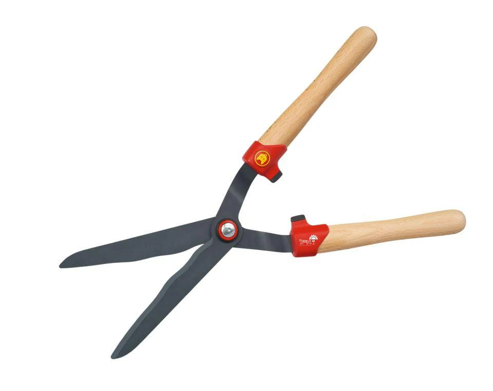 תמונת מוצר 2