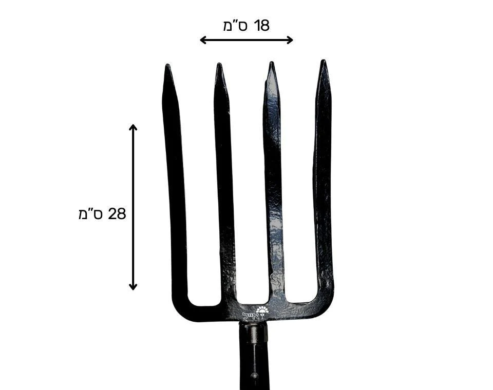 תמונת מוצר 3