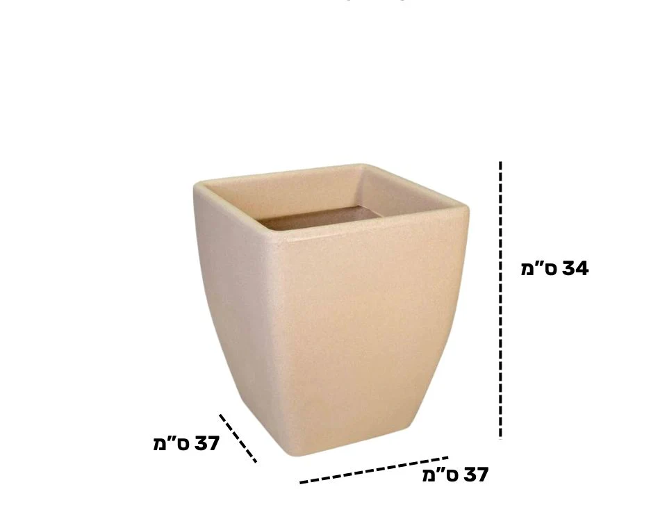 תמונת מוצר 2