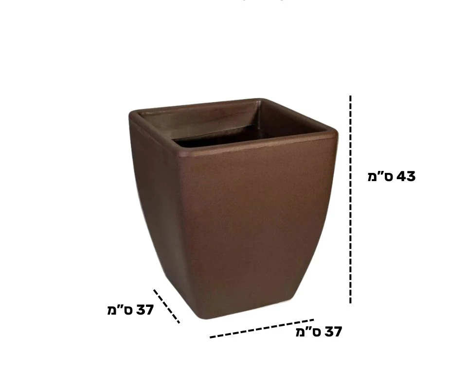 תמונה ממוזערת 2