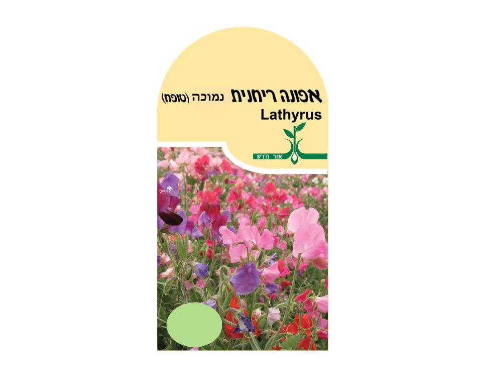 תמונה ממוזערת 1