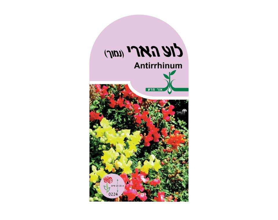 תמונה ממוזערת 1