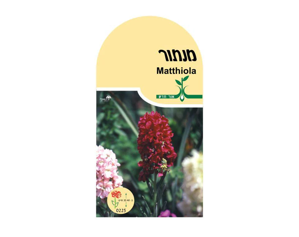 תמונת מוצר 1