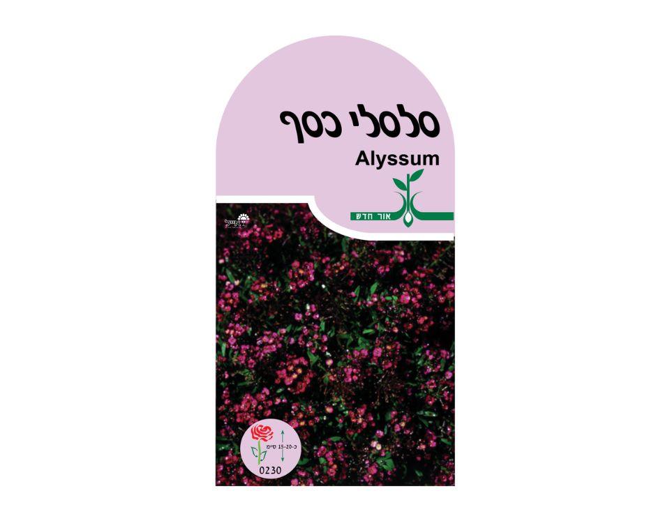 תמונת מוצר 1