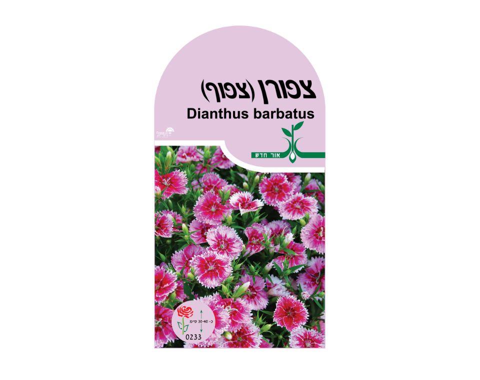 תמונת מוצר 1