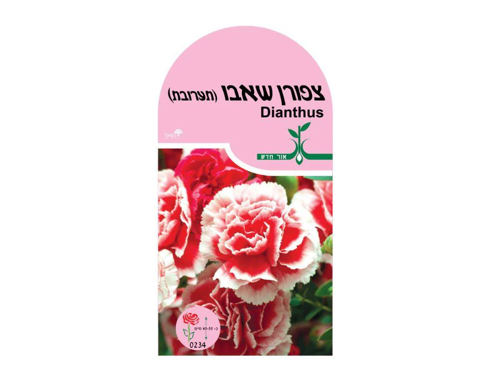 תמונת מוצר 1