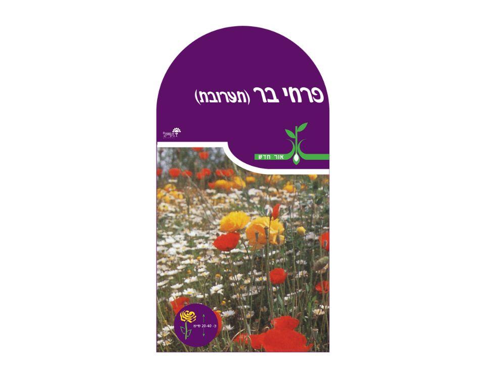 תמונת מוצר 1